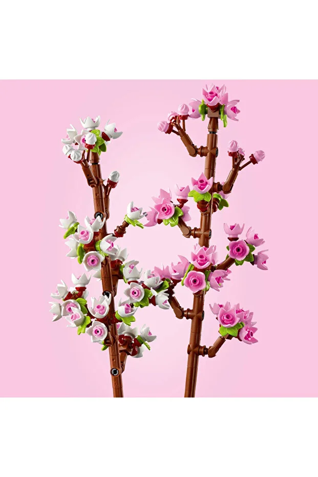 Botanicals Kiraz Çiçekleri